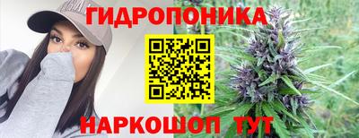 винт Гусь-Хрустальный